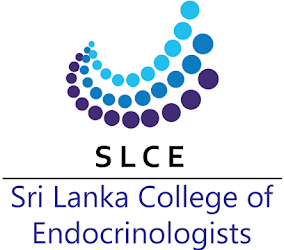 About SLCE